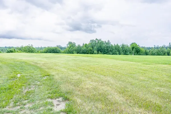 48798 Pansy Landing RD, Sandstone, MN 55072