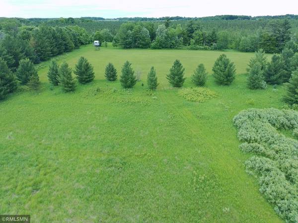 TBD Hummingbird RD, Braham, MN 55006