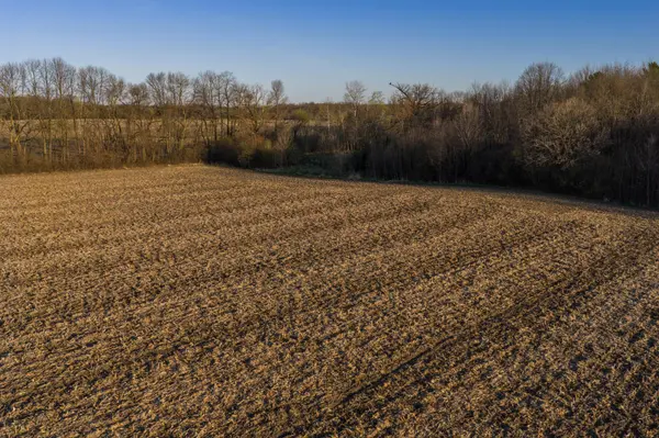 TBD Lot 1 Park TRL, Center City, MN 55012