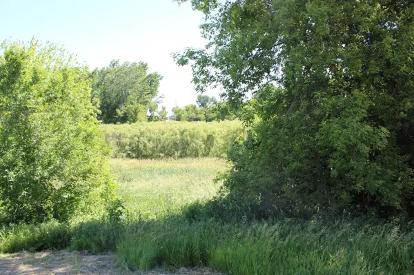 TBD 225th ST, Silver Lake, MN 55381