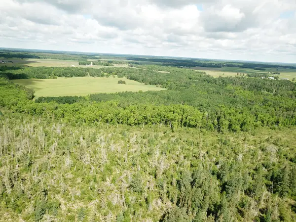 TBD1 Mud Lake RD, Bagley, MN 56621