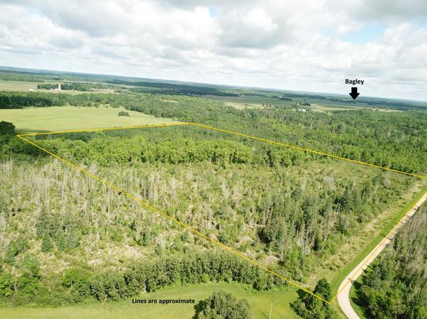 TBD1 Mud Lake RD, Bagley, MN 56621