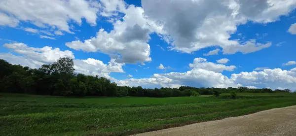 TBD (L2B1) 410 AVE, Mazeppa, MN 55956