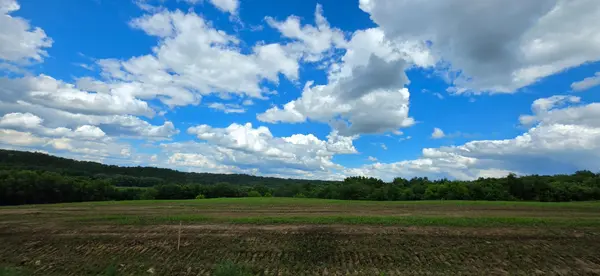TBD (L5B1) 410 AVE, Mazeppa, MN 55956