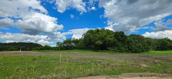 TBD (L9B1) 408 AVE, Mazeppa, MN 55956