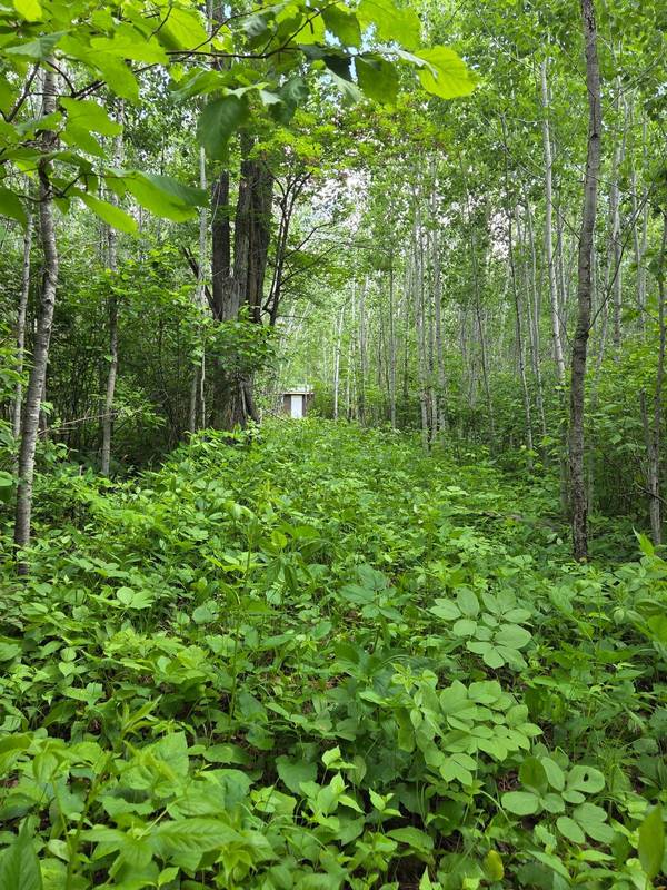 XXX MT Nelson Rd, Mahtowa, MN 55707