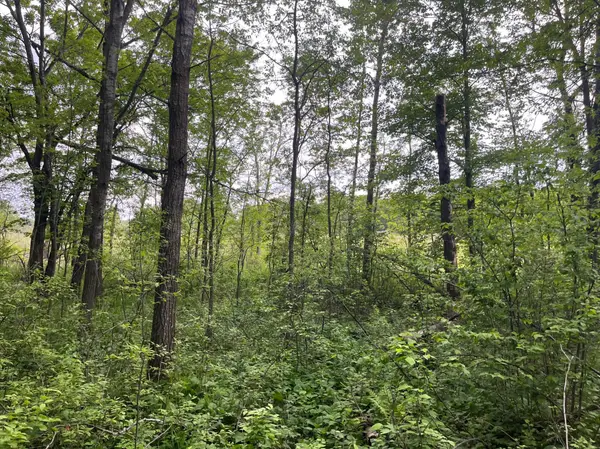 TBD Crust RD, Brainerd, MN 56401