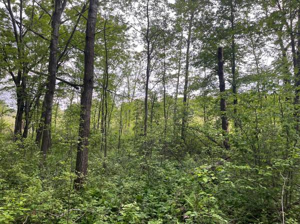 TBD Crust RD, Brainerd, MN 56401