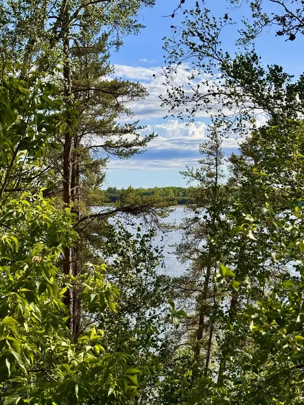17619 Ivy DR, Park Rapids, MN 56470