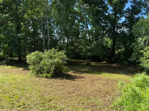 TBD West Bone Lake Dr, Milltown, WI 54858