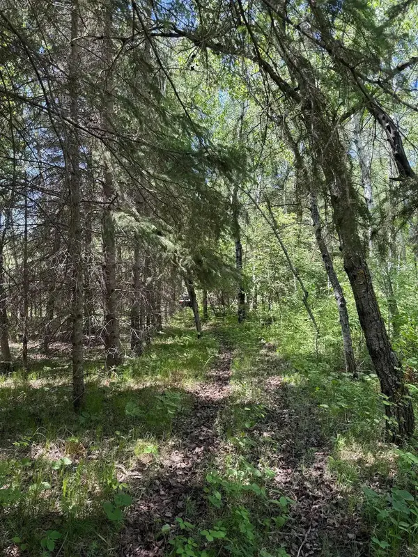 28892 Malcolm RD NW, Grygla, MN 56727