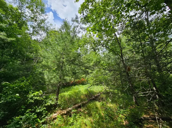 Lot 1 Gaslyn RD, Webster, WI 54893