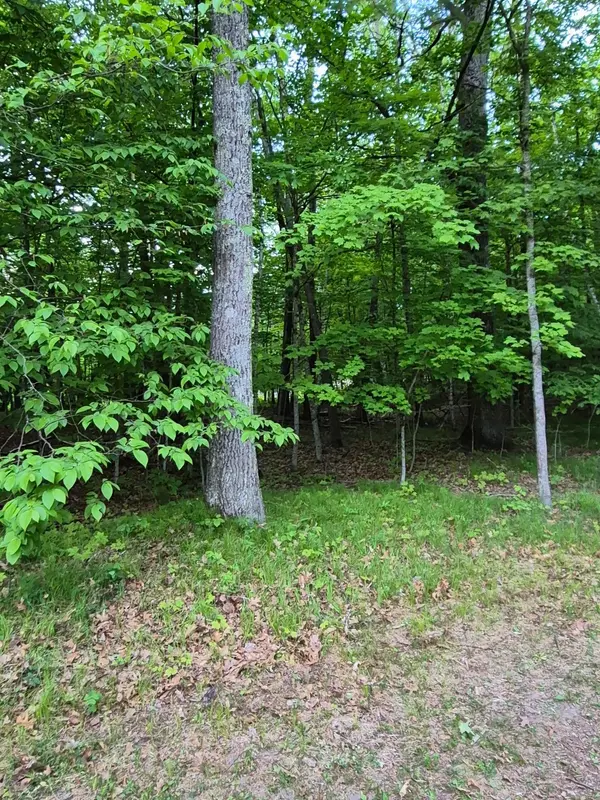 TBD, Lots 310, 353, and 354 195th Place, Mcgregor, MN 55760