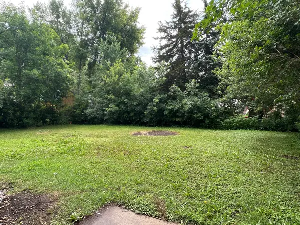 1405 W Clark ST, Albert Lea, MN 56007