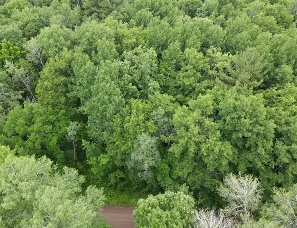 LOT 5 Wilderness Retreat, Pine City, MN 55063