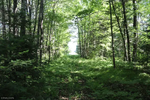 TBD Sawmill RD, Kerrick, MN 55756