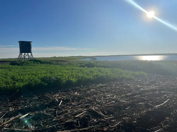TBD SE 90th St, Rutland, ND 58067