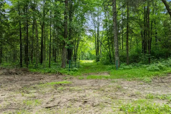 TBD Pierson Drive, Pequot Lakes, MN 56472