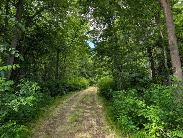 TBD 477th AVE, New York Mills, MN 56567