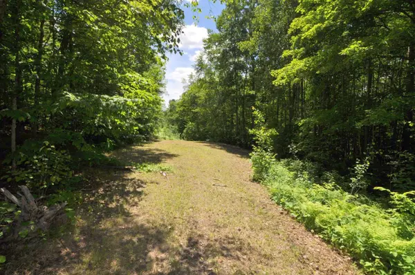 Lot 2 Evening Vista TRL NW, Shingobee Twp, MN 56433