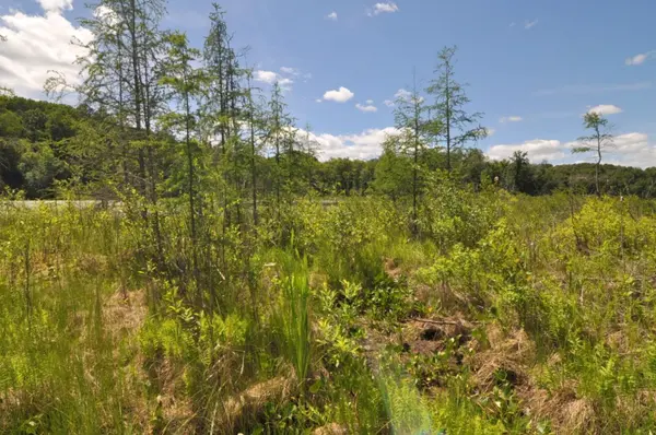 Lot 2 Evening Vista TRL NW, Shingobee Twp, MN 56433