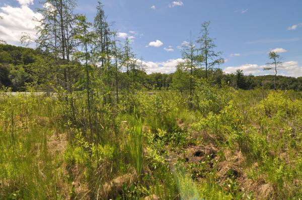 Lot 2 Evening Vista TRL NW, Shingobee Twp, MN 56433