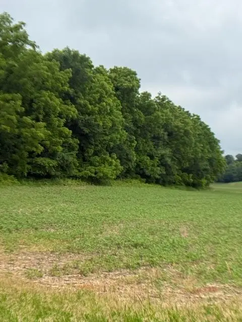 TBD Back Valley Road, Pepin, WI 54759