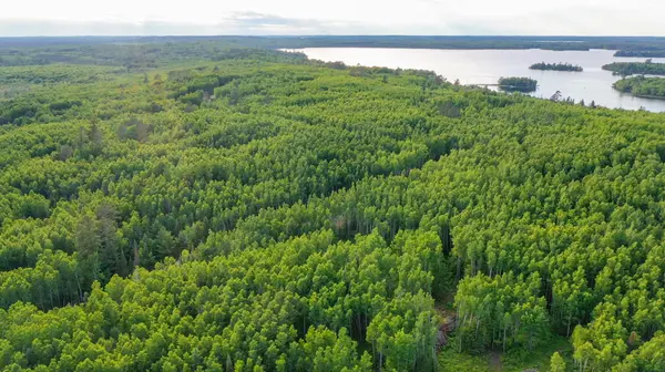 TBD Parcel X Frazer Bay Road, Cook, MN 55723