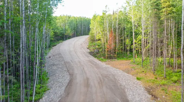 TBD Parcel X Frazer Bay Road, Cook, MN 55723