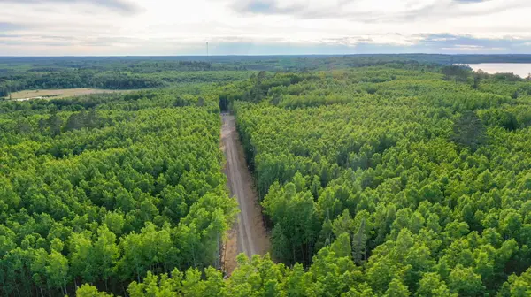 TBD Parcel 22 Frazer Bay Road, Cook, MN 55723
