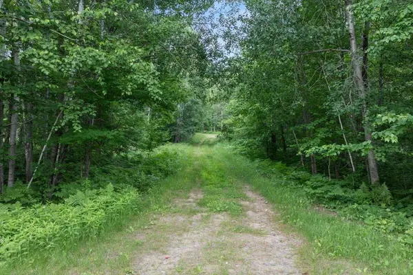 TBD Mitchell RD, Nisswa, MN 56468