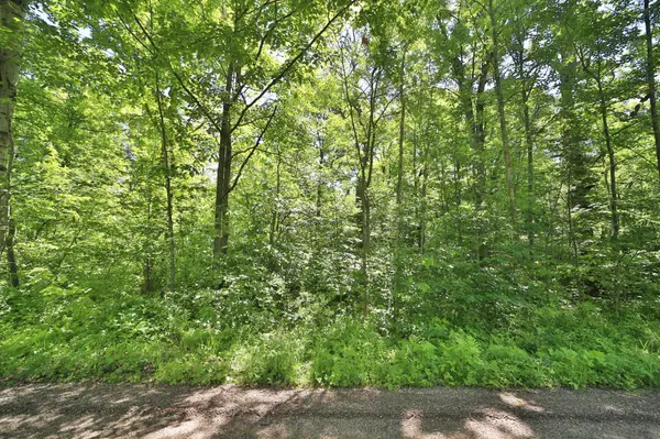 TBD Meander WAY, Garrison, MN 56450