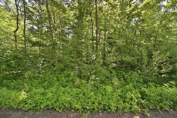 TBD Meander WAY, Garrison, MN 56450