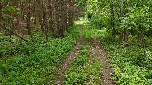 TBD County Road D, Emerald, WI 54013