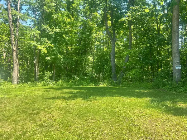 6966 Lake Camile DR, Randall, MN 56475