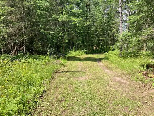 11919 Luna Lake RD, Side Lake, MN 55781