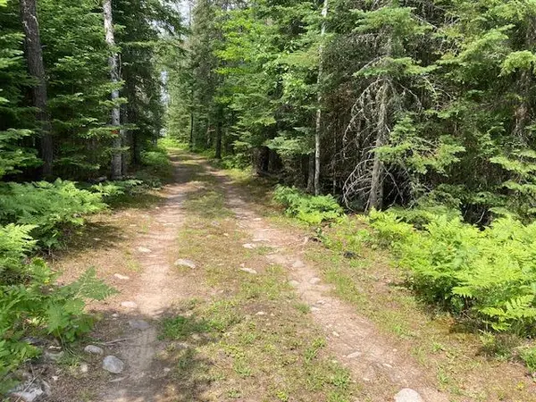 11919 Luna Lake RD, Side Lake, MN 55781