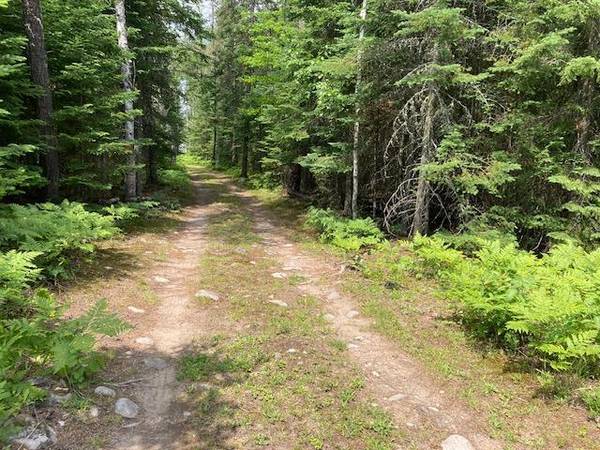 11919 Luna Lake RD, Side Lake, MN 55781