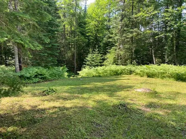 11919 Luna Lake RD, Side Lake, MN 55781