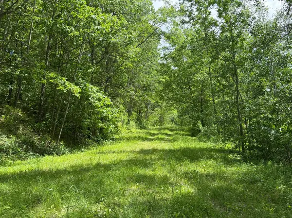 TBD Hickory Lane, Garrison, MN 56450