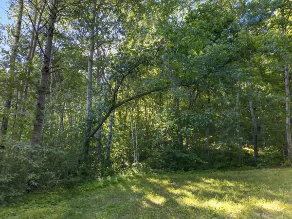 TBD Hickory Lane, Garrison, MN 56450