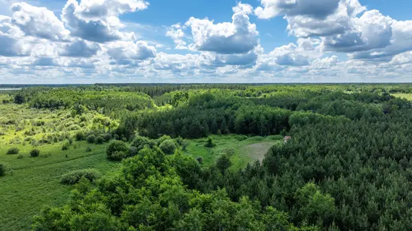 22415 Wilderness DR, Verndale, MN 56481