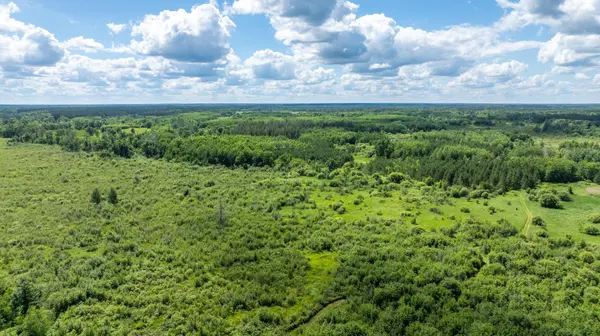22415 Wilderness DR, Verndale, MN 56481