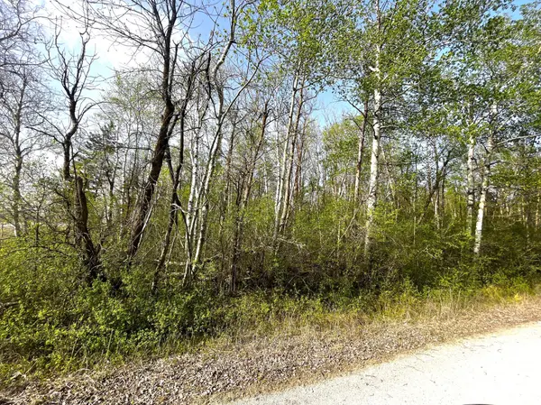 XXX 585th AVE, Warroad, MN 56763