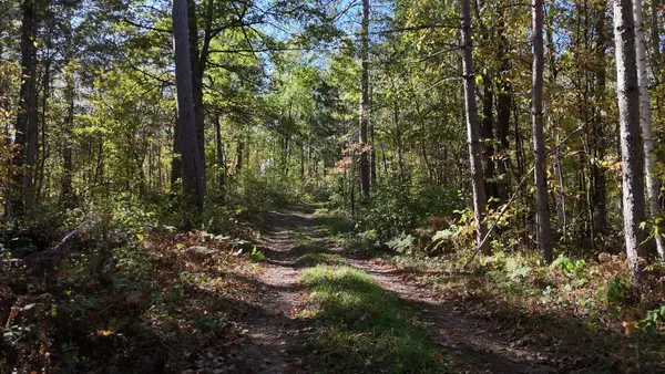 N5813 Mann Road, Spooner, WI 54801