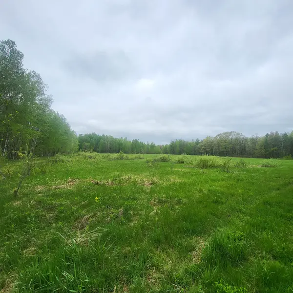 24343 US Highway 169, Milaca, MN 56353