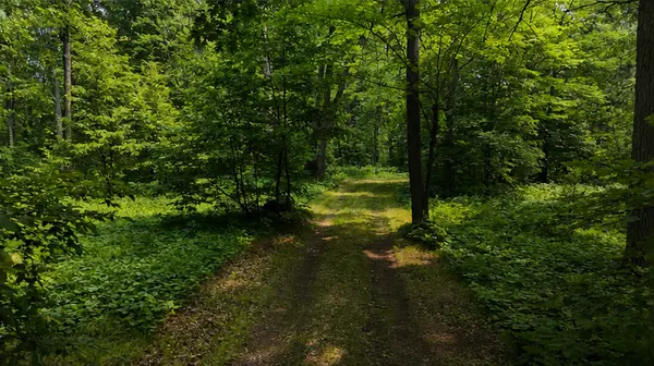 TBD BB Mann Road, Spooner, WI 54801