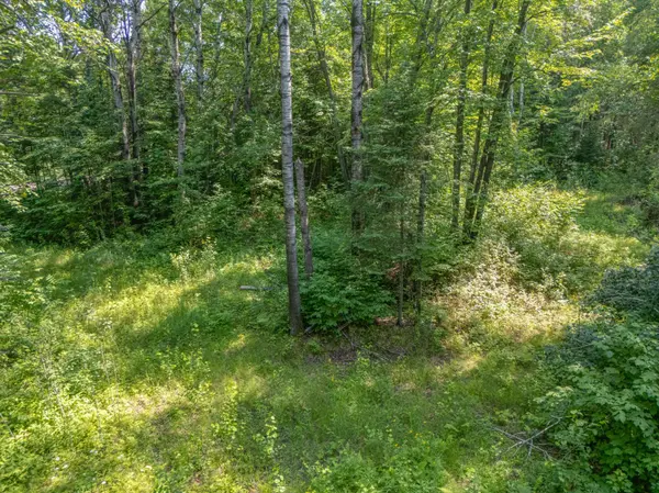 TBD County Road 308, Mountain Iron, MN 55768