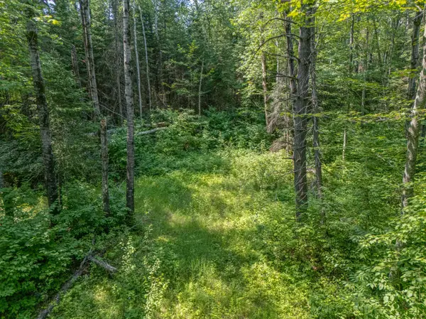 TBD County Road 308, Mountain Iron, MN 55768
