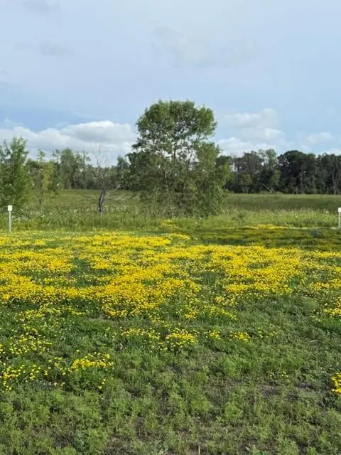 26381 Preserve DR, Elko New Market, MN 55054